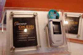 2005年中國國際通信設備技術展 8號館Okiwap產品秀圖片回顧